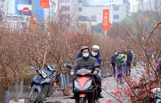 Bộ Lao động-Thương binh và Xã hội đã hoàn thành việc lấy ý kiến về lịch nghỉ Tết Nguyên đán năm 2024 với công chức, viên chức. (Ảnh: TTXVN)