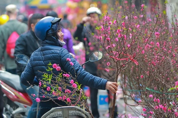 Bộ Lao động-Thương binh và Xã hội đã hoàn thiện dự thảo về lịch nghỉ Tết Âm lịch và Lễ Quốc khánh năm 2024. (Ảnh: PV/Vietnam+)