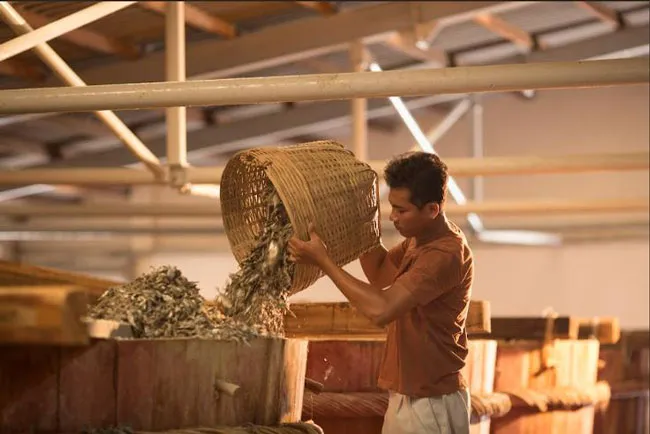 Trong chuyến thăm nhà thùng Phú Quốc, Chad Kubanoff đã đi từ hết bất ngờ này tới bất ngờ khác khi được chứng kiến quy trình công phu để cho ra đời nguồn nước mắm chất lượng cao. Trong chuyến thăm nhà thùng Phú Quốc, Chad Kubanoff đã đi từ hết bất ngờ này tới bất ngờ khác khi được chứng kiến quy trình công phu để cho ra đời nguồn nước mắm chất lượng cao.