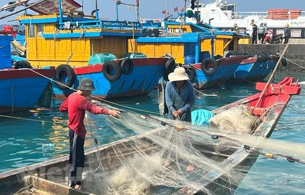 Công tác quản lý đội tàu, theo dõi, kiểm soát hoạt động của tàu cá sẽ được triển khai quyết liệt hơn. (Ảnh: PV/Vietnam+)