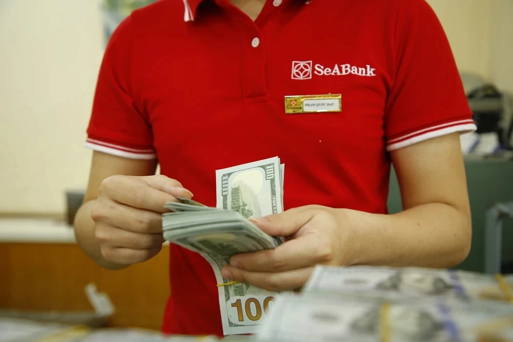 Áp lực lên tỷ giá có dấu hiệu dần hạ nhiệt. (Ảnh: PV/Vietnam+)
