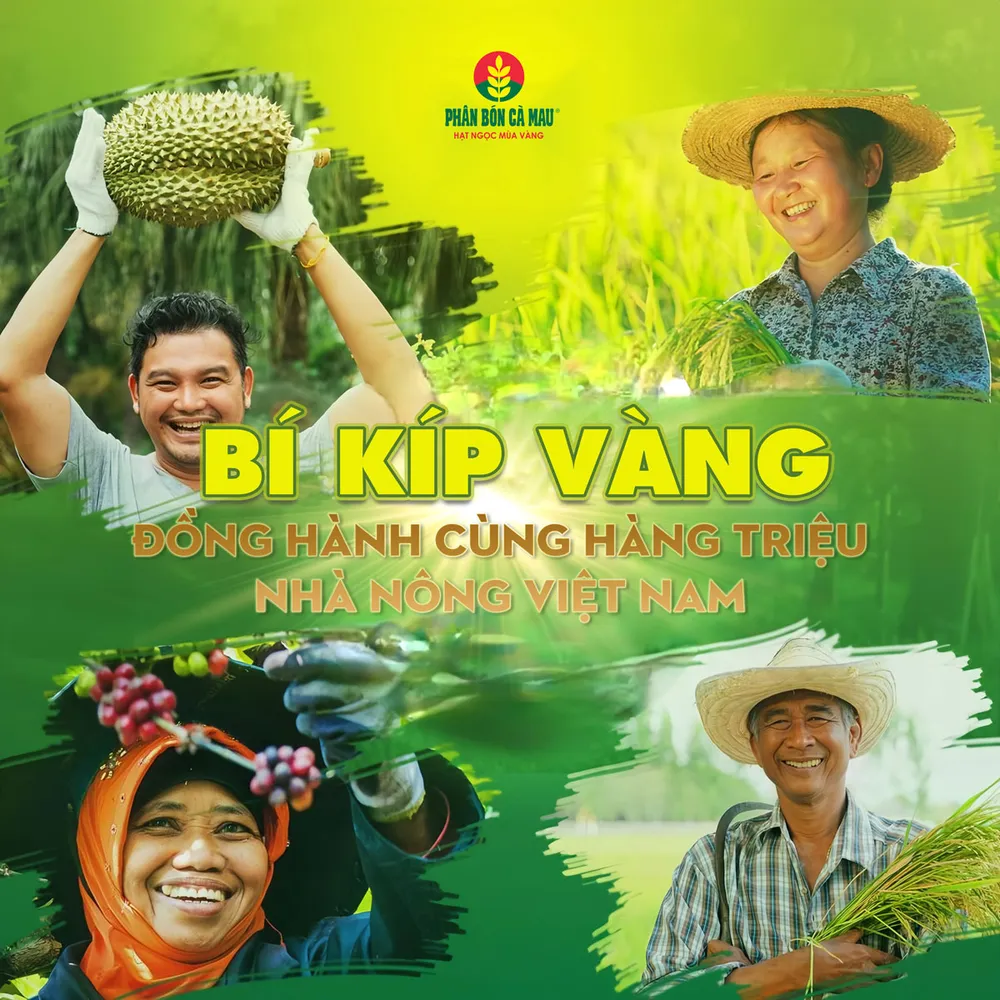 Chiến dịch Bí Kíp Vàng đã có hành trình gần 5 năm đồng hành cùng hàng triệu nhà nông khắp mọi vùng miền Việt Nam.