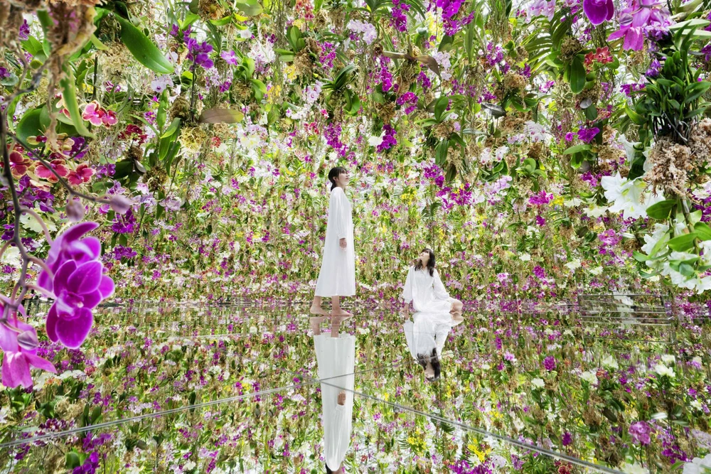 Bảo tàng ánh sáng teamLab Borderless Digital Art.