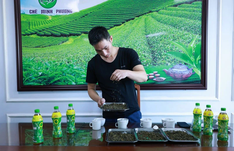 Ông Đặng Quang Thăng, Phó Giám đốc Công ty Minh Phương, kiểm tra “sắc, nước, hương, vị” của nguyên liệu trà bán thành phẩm trước khi cung cấp cho Tân Hiệp Phát dùng để sản xuất Trà Xanh Không Độ. 3-(4).jpg