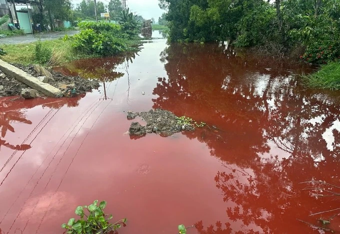 Kinh hoàng TPHCM, Nước kênh trong khu dân cư chuyển màu đỏ