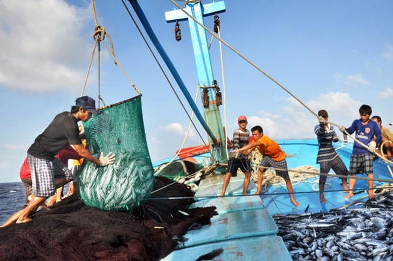 Phấn đấu gỡ cảnh báo "Thẻ vàng" hướng tới xây dựng ngành thủy sản bền vững, hiệu quả.