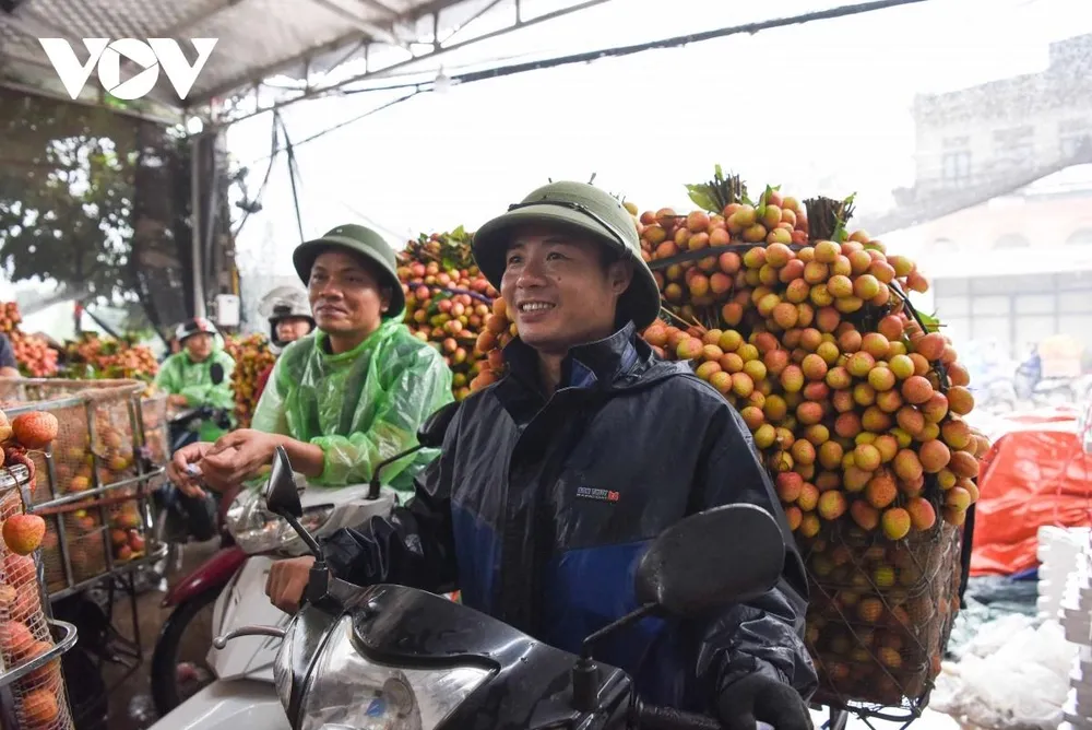 Anh Trần Văn Thuần ở thị trấn Cao Thượng, huyện Tân Yên, tỉnh Bắc Giang cho biết, vải thiều năm nay được mùa, sản lượng tăng 30% năm ngoái, nhưng giá thành lại “bấp bênh”, hiện giá thương lái thu mua tại các điểm cân dao động từ 10.000 – 20.000/kg tuỳ từng mẫu mã. Anh Trần Văn Thuần ở thị trấn Cao Thượng, huyện Tân Yên, tỉnh Bắc Giang cho biết, vải thiều năm nay được mùa, sản lượng tăng 30% năm ngoái, nhưng giá thành lại “bấp bênh”, hiện giá thương lái thu mua tại các điểm cân dao động từ 10.000 – 20.000/kg tuỳ từng mẫu mã.