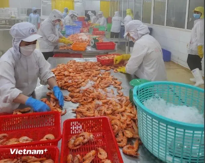 Standard Chartered giảm dự báo trưởng GDP còn 6,1%