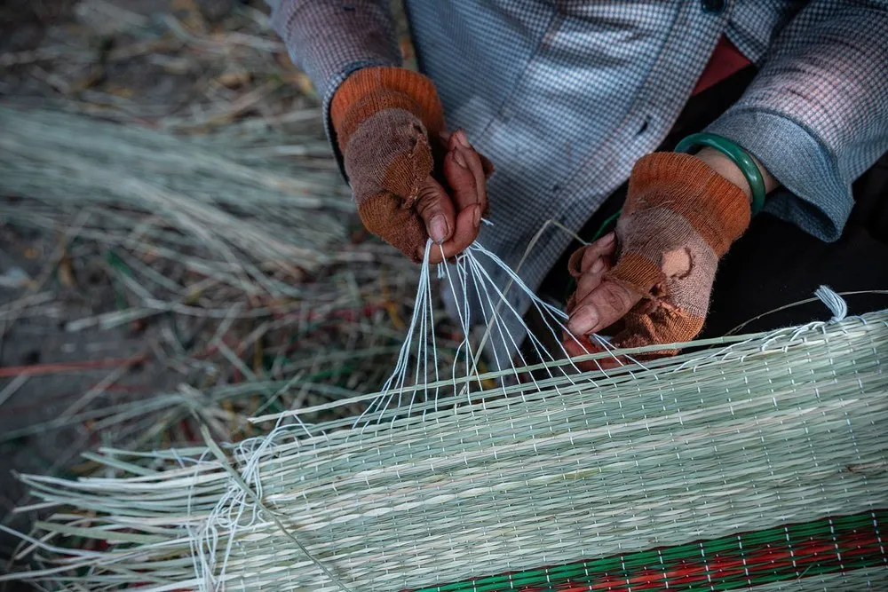 Tỉ mỉ buộc những sợi dây dù trắng quanh mép chiếu. Ảnh: Khánh Hoà – TTXVN Tỉ mỉ buộc những sợi dây dù trắng quanh mép chiếu. Ảnh: Khánh Hoà – TTXVN