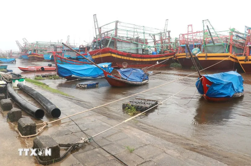 Quảng Ninh cấm biển, ngừng cấp phép tàu ra khơi từ 13 giờ ngày 18-8