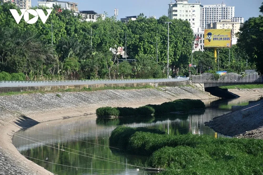 Những bè thủy sinh giúp dòng nước không còn mùi hôi Những bè thủy sinh giúp dòng nước không còn mùi hôi