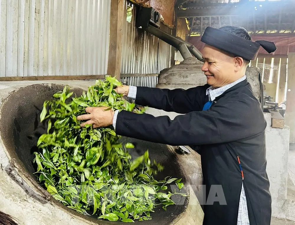 Ông Đặng Văn Háu, dân tộc Dao (thôn Xà Phìn, xã biên giới Thanh Thủy, tỉnh Tuyên Quang) sao chè thủ công. Ảnh: Đức Thọ - TTXVN Ông Đặng Văn Háu, dân tộc Dao (thôn Xà Phìn, xã biên giới Thanh Thủy, tỉnh Tuyên Quang) sao chè thủ công. Ảnh: Đức Thọ - TTXVN