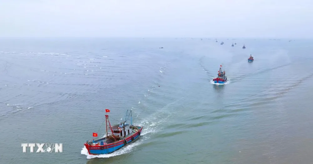 Thủ tướng yêu cầu triển khai tháng cao điểm gỡ 'thẻ vàng' xuất khẩu thủy sản