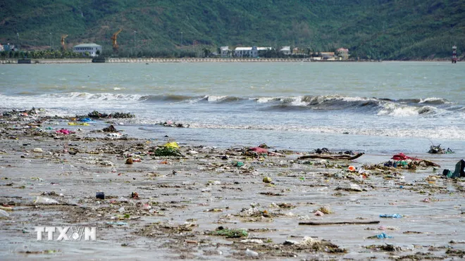 Rác thải bủa vây bãi biển du lịch Quy Nhơn. (Ảnh: Đình Quân/TTXVN)