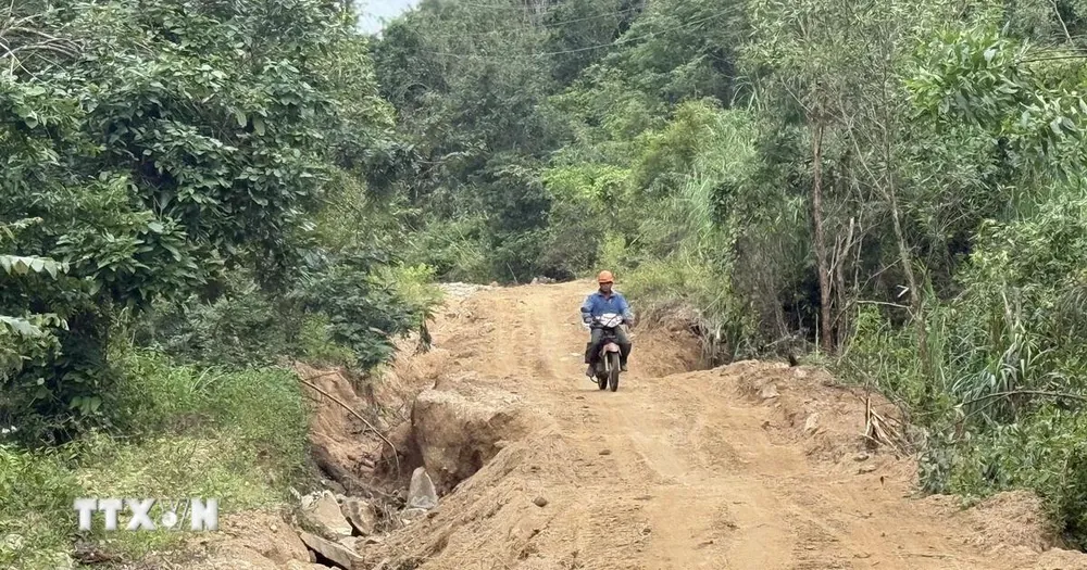 Đắk Lắk di dời hàng trăm hộ dân đến nơi an toàn tránh bão số 15