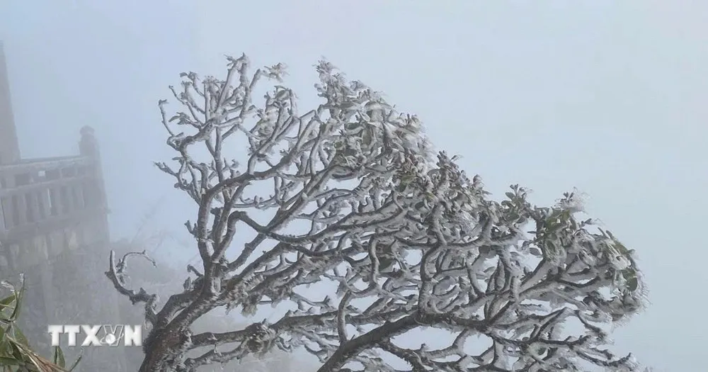 Sơn La cảnh báo xuất hiện băng tuyết từ đêm 13-12