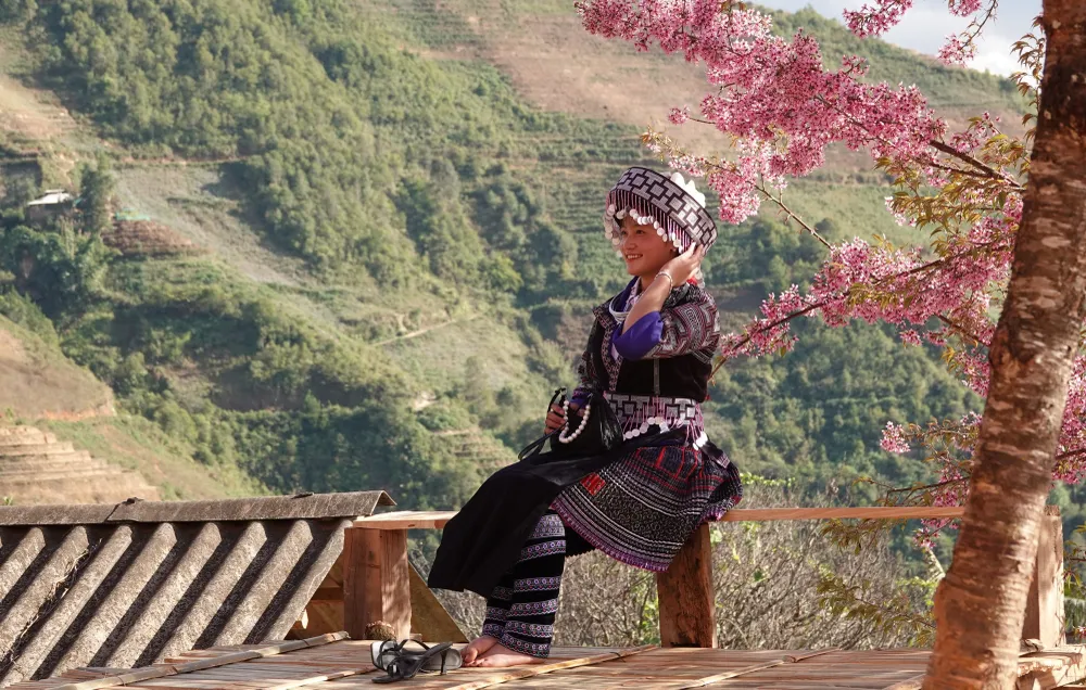 Những năm gần đây, cứ vào mùa hoa Tớ Dày, Mù Căng Chải lại tổ chức thành lễ hội hàng năm, thu hút du khách.