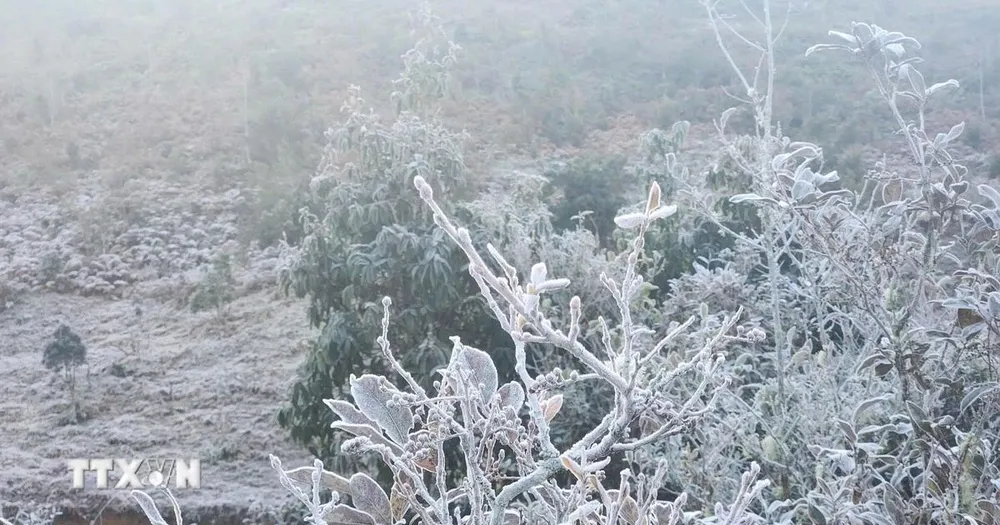 Băng phủ trắng đỉnh Fansipan trong ngày Giáng sinh 2025