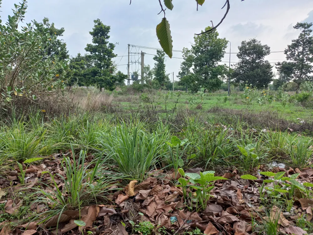 Bên trong khu vực phát hiện vụ việc Bên trong khu vực phát hiện vụ việc