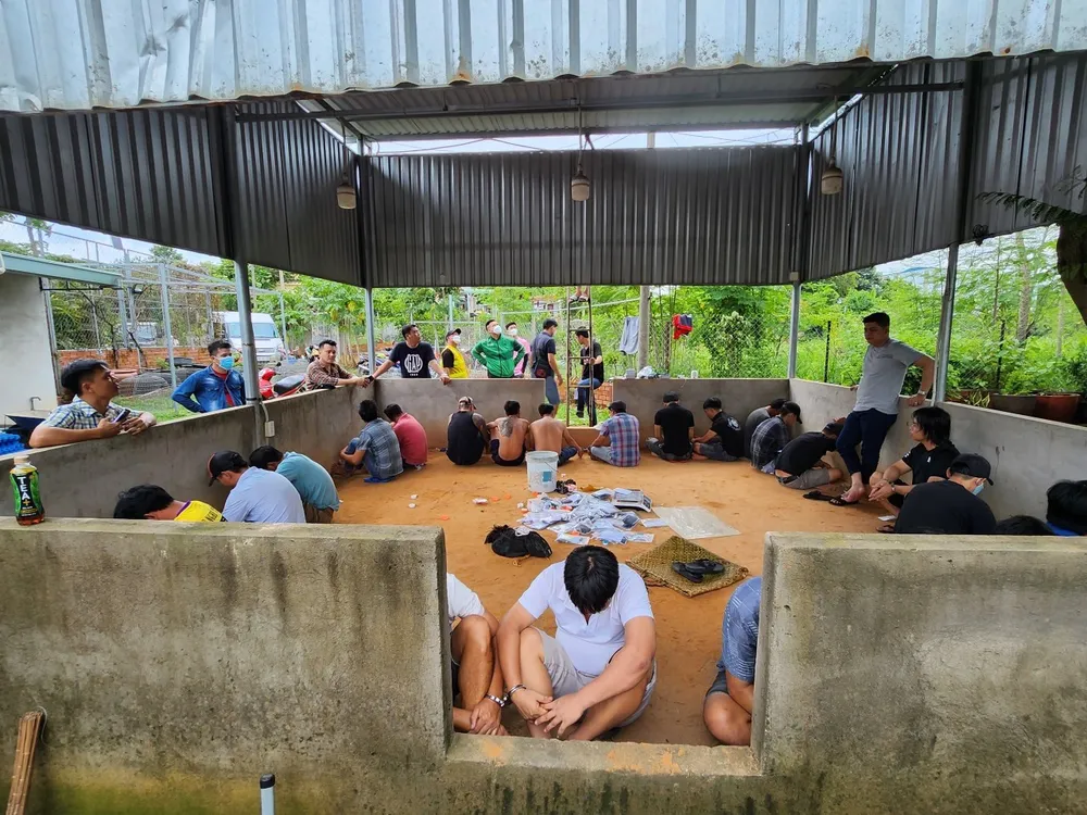 Các đối tượng bị bắt quả tang tại tụ điểm đá gà Các đối tượng bị bắt quả tang tại tụ điểm đá gà