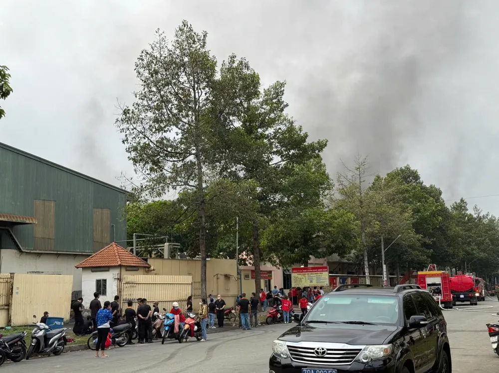 Cháy 1-19.jpg