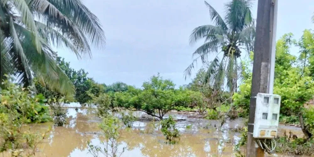 Nhiều ấp trên địa bàn xã Đăk Lua bị ngập. Ảnh: ĐQL ĐIỆN ĐỊNH QUÁN 