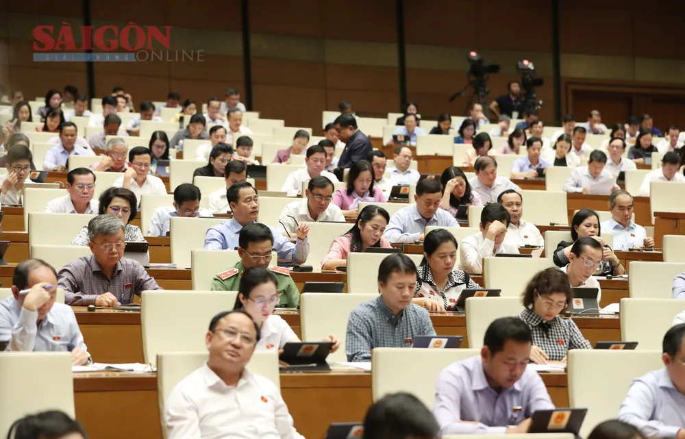 Đại biểu Quốc hội dự phiên họp ngày 24-5. Ảnh: QUANG PHÚC Đại biểu Quốc hội dự phiên họp ngày 24-5. Ảnh: QUANG PHÚC