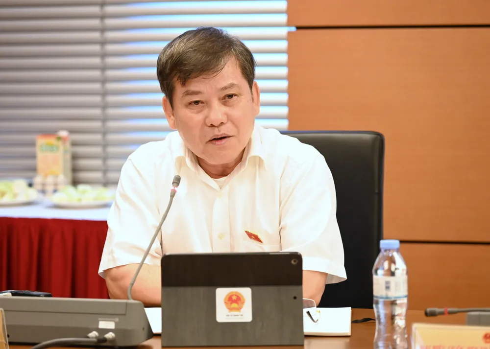 Đại biểu Lê Minh Trí nhấn mạnh đến các giải pháp phòng ngừa từ sớm, từ xa. Ảnh: QUANG PHÚC
