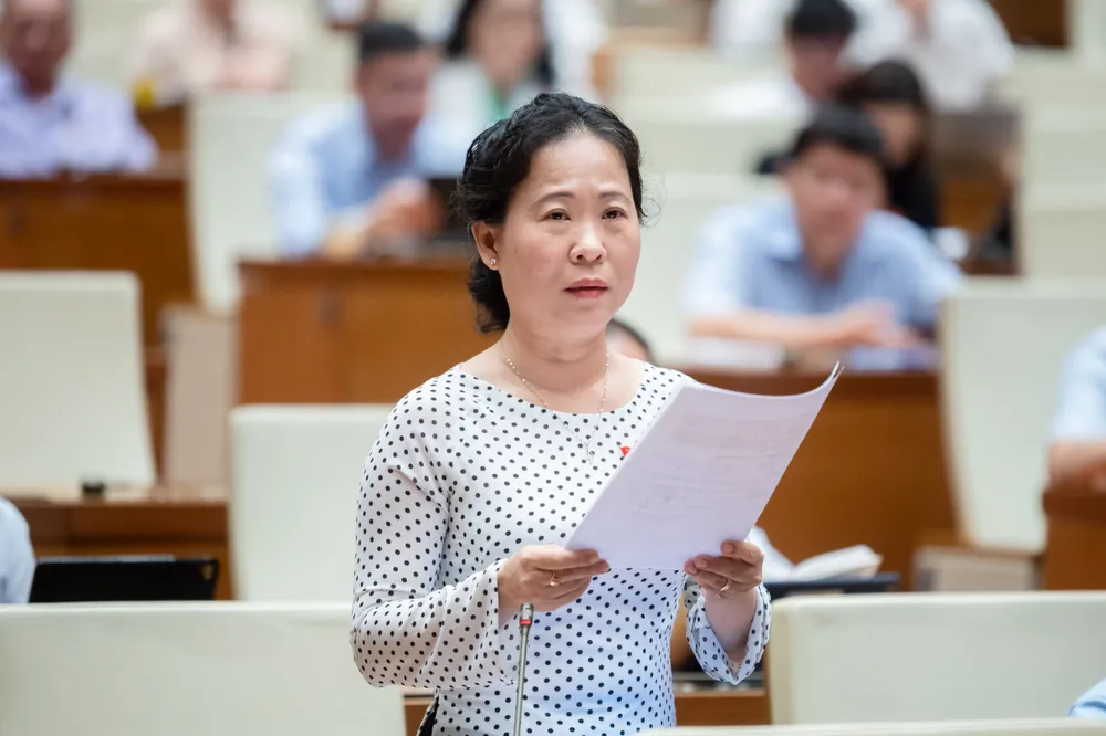 ĐB Tô Ái Vang ĐB Tô Ái Vang