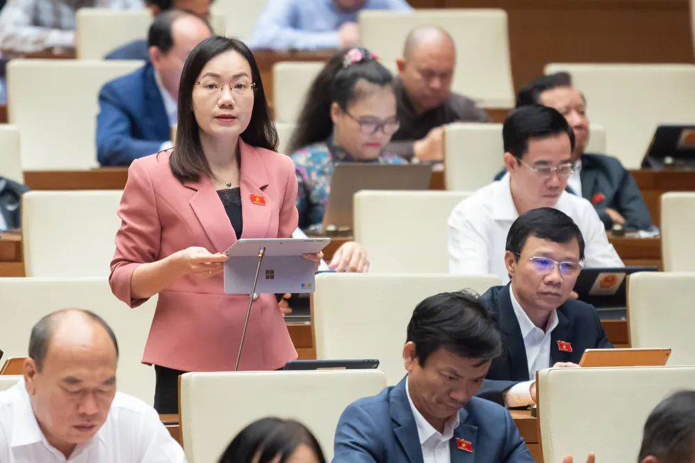 ĐB Đỗ Thị Việt Hà. Ảnh: VIẾT CHUNG ĐB Đỗ Thị Việt Hà. Ảnh: VIẾT CHUNG