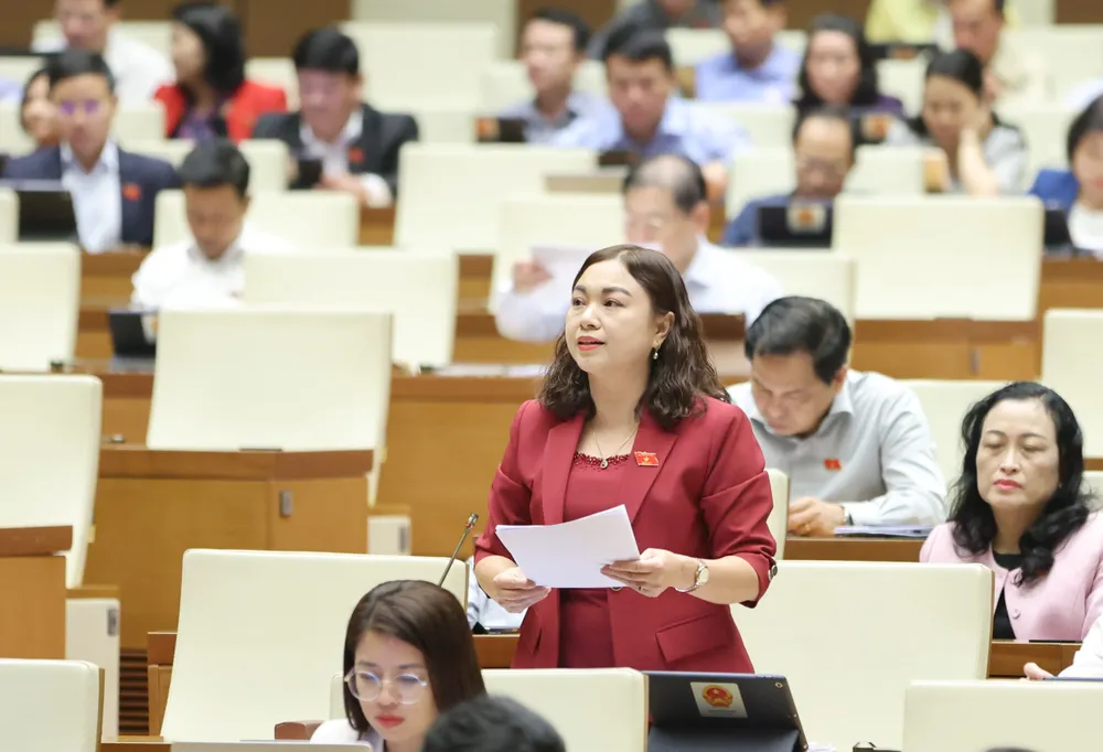 ĐB Đặng Bích Ngọc. Ảnh: QUANG PHÚC ĐB Đặng Bích Ngọc. Ảnh: QUANG PHÚC