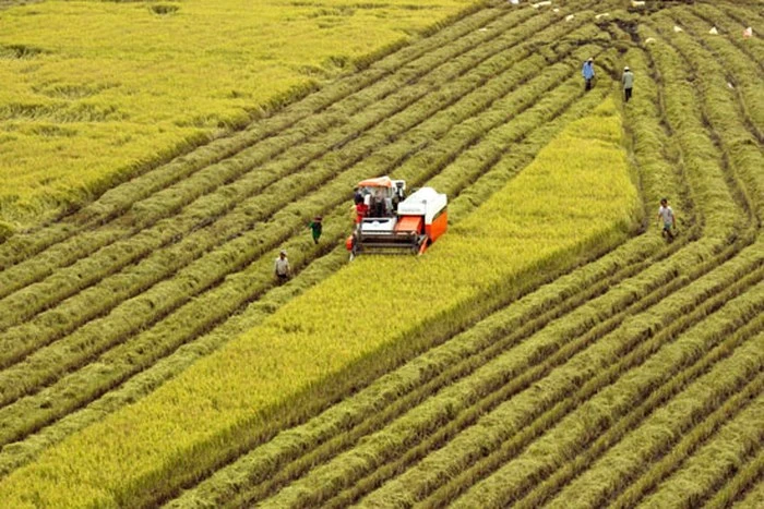 Doanh nghiệp phản ánh, trong lĩnh vực nông nghiệp, việc tiếp cận vốn vay rất khó khăn