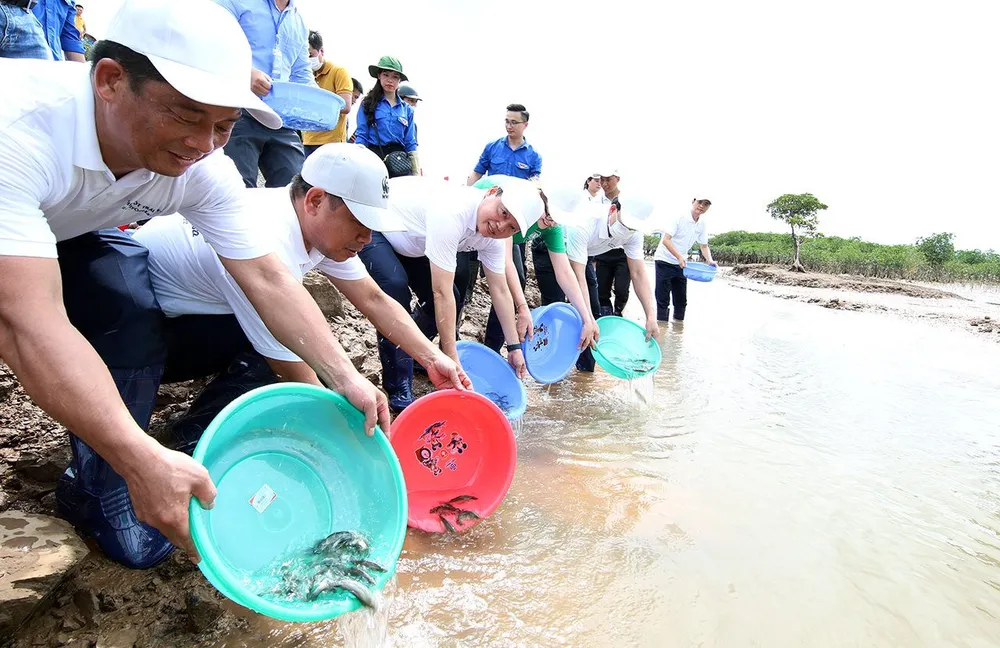 Nhiều hoạt động kỷ niệm ngày Quốc tế Đa dạng sinh học và Ngày Môi trường Thế giới ảnh 3 Nhiều hoạt động kỷ niệm ngày Quốc tế Đa dạng sinh học và Ngày Môi trường Thế giới ảnh 3