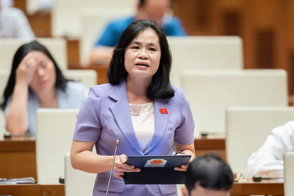 ĐB Nguyễn Thị Hồng Hạnh (TPHCM) ĐB Nguyễn Thị Hồng Hạnh (TPHCM)