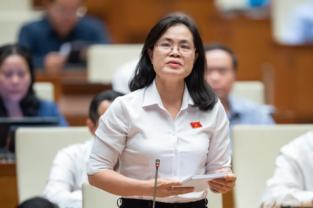 ĐB Nguyễn Thị Hồng Hạnh (TPHCM) ĐB Nguyễn Thị Hồng Hạnh (TPHCM)