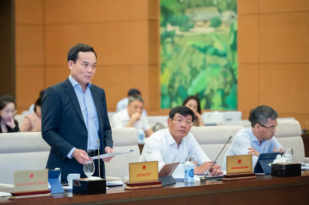 Phó Thủ tướng Chính phủ Trần Lưu Quang phát biểu tại phiên họp Phó Thủ tướng Chính phủ Trần Lưu Quang phát biểu tại phiên họp