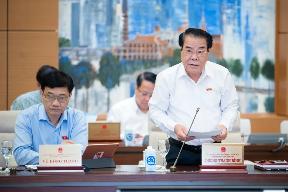Trưởng Ban Dân nguyện Dương Thanh Bình báo cáo tại phiên họp