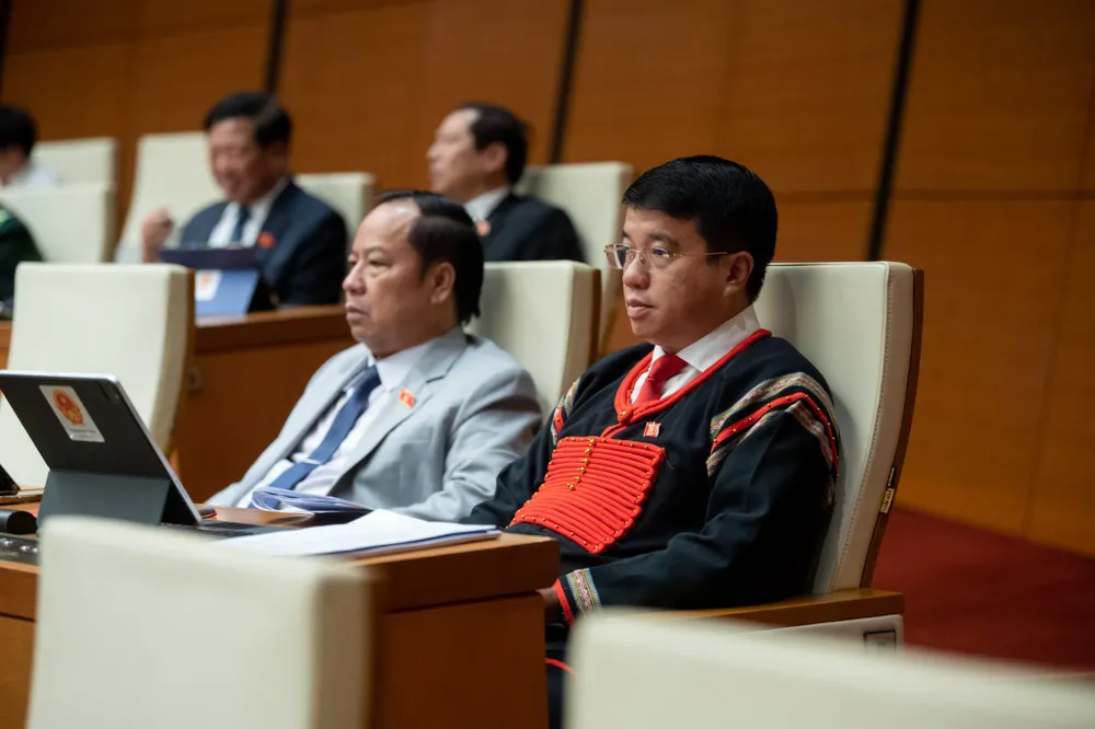 Đại biểu Quốc hội dự họp