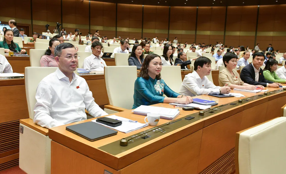 Đại biểu dự họp