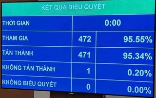 Kết quả biểu quyết 