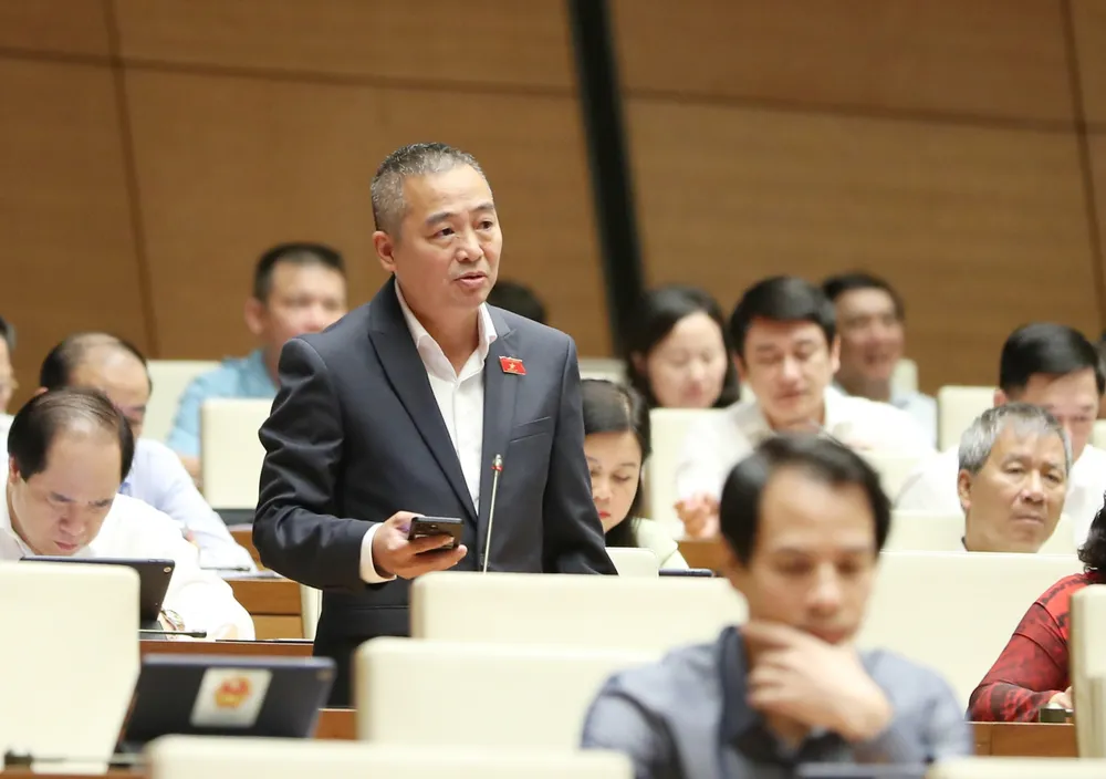 ĐB Nguyễn Lân Hiếu (Bình Định). Ảnh: QUANG PHÚC