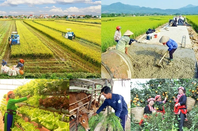 HĐND cấp tỉnh được quyết định lựa chọn không quá 2 huyện thực hiện thí điểm cơ chế phân cấp quản lý, tổ chức thực hiện các chương trình mục tiêu quốc gia giai đoạn 2024 – 2025