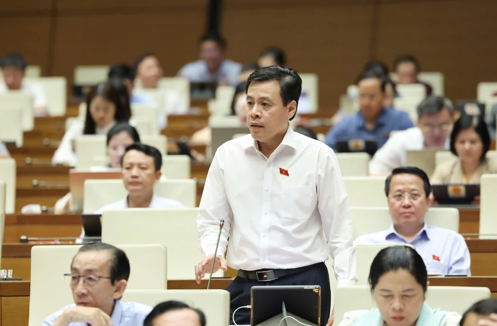 ĐB Trần Anh Tuấn (TPHCM) phát biểu tại phiên họp. Ảnh: QUANG PHÚC TRẦN ANH TUẤN .jpeg