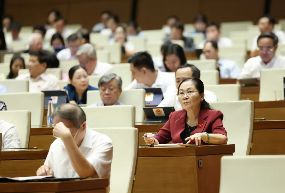 Đoàn ĐBQH TPHCM dự họp. Ảnh: QUANG PHÚC HCM.jpg