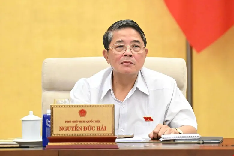 Phó Chủ tịch Quốc hội Nguyễn Đức Hải phát biểu tại phiên họp HẢI.jpg