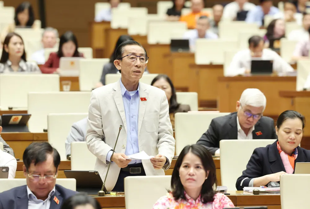 ĐB Trần Hoàng Ngân (TPHCM). Ảnh: QUANG PHÚC NGÂN 30.jpg