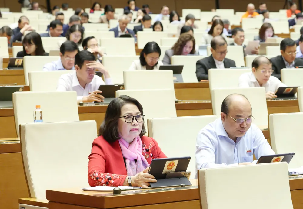 ĐB TPHCM dự họp 9.jpeg