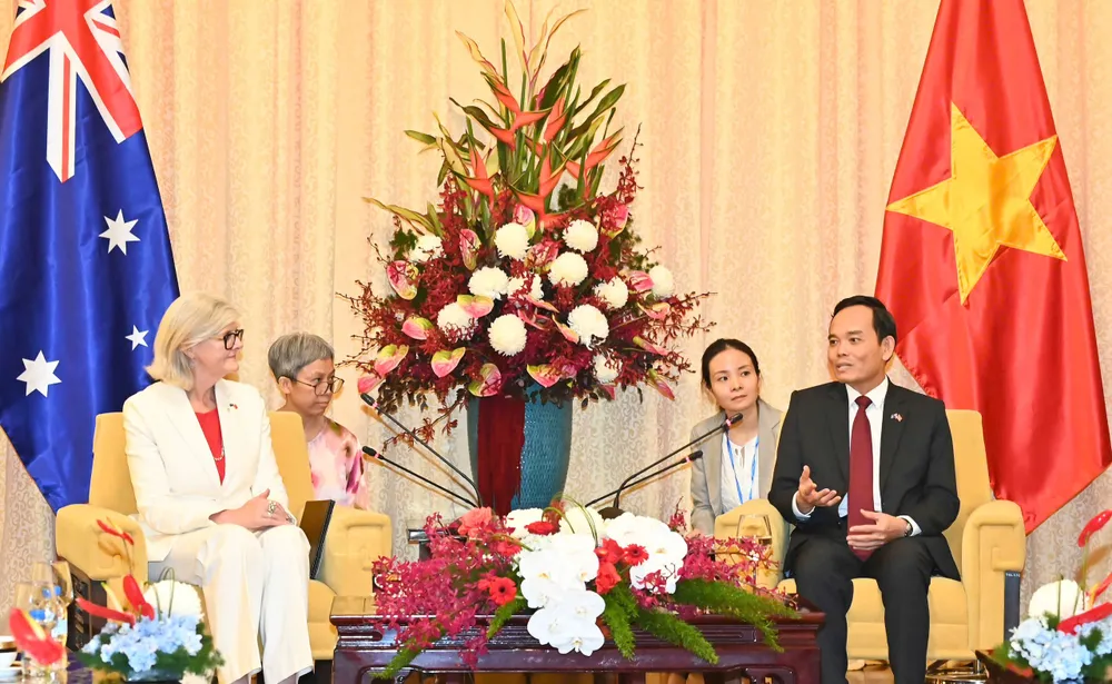 Bí thư Thành ủy TPHCM Trần Lưu Quang tiếp Toàn quyền Australia Sam Mostyn. Ảnh: VIỆT DŨNG 1000005933.jpg