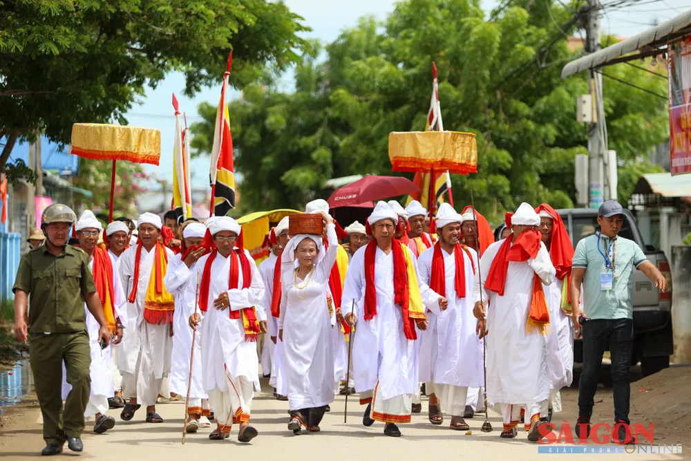dasua-6316.jpg
