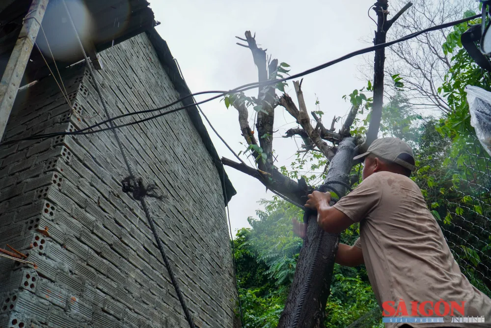 Los habitantes de la zona de Xom Nui refuerzan sus casas antes de que la tormenta número 13 toque tierra. 3.jpg